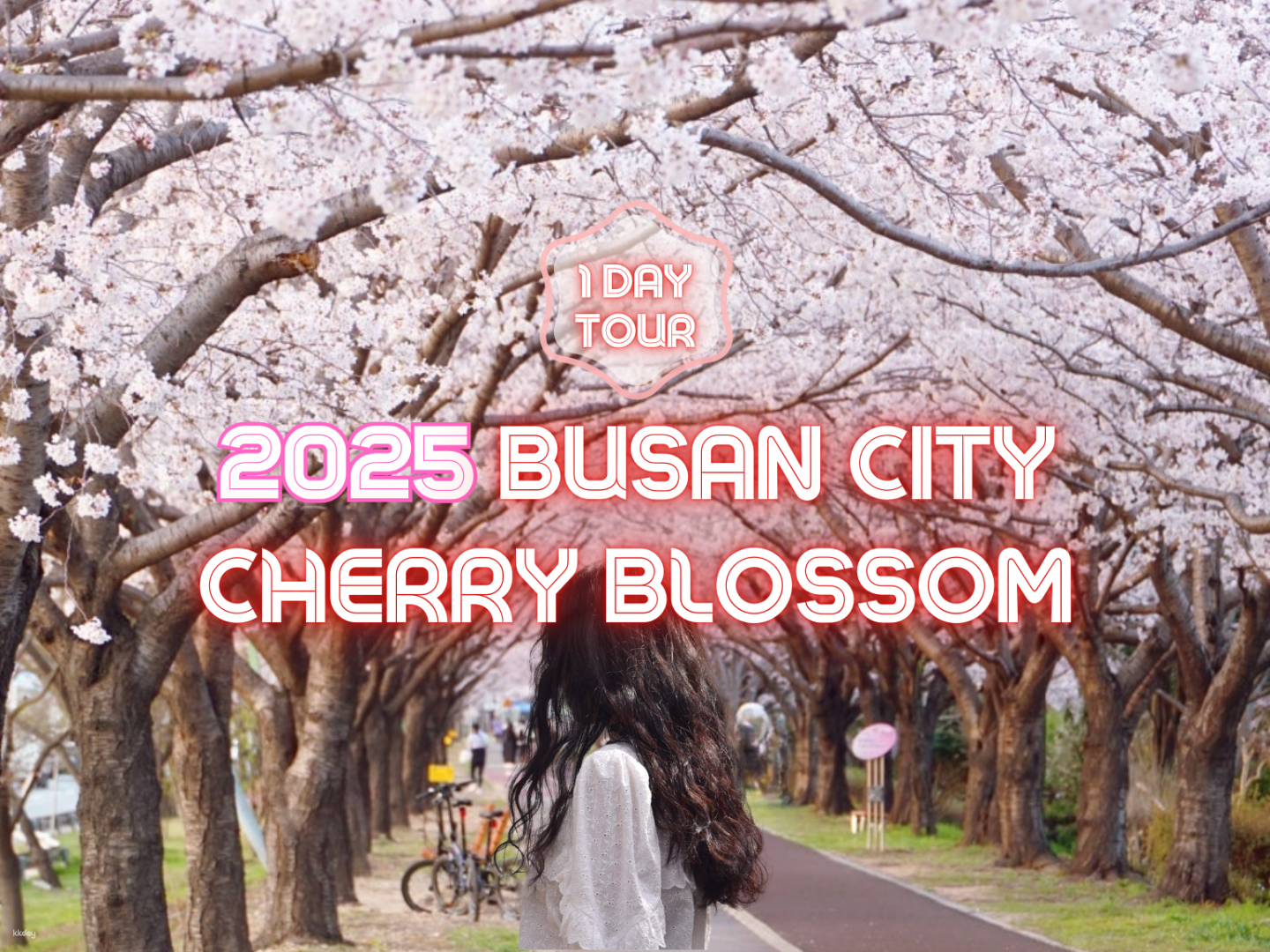 [40% OFF] Busan City Cherry Blossom Tour With Top Attractions - Photo 1 of 6